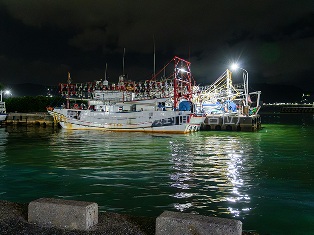 大型港口改造项目 大型港口改造项目
